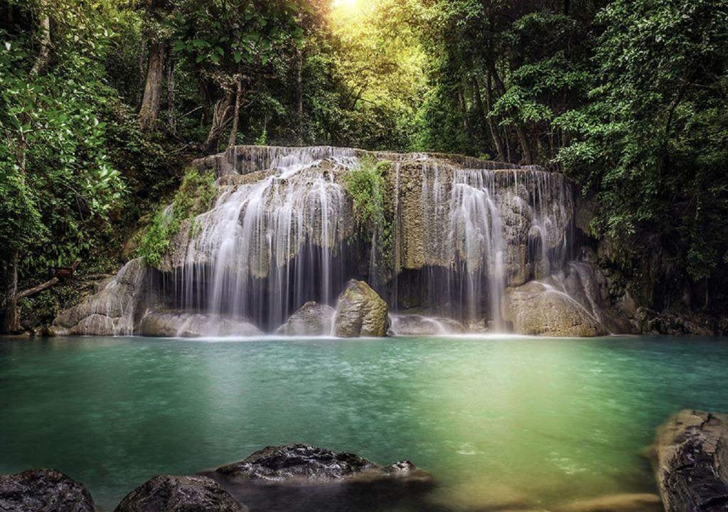 Bos fotobehang waterval vlies 375x270 cm | gratis verzending, Verzenden