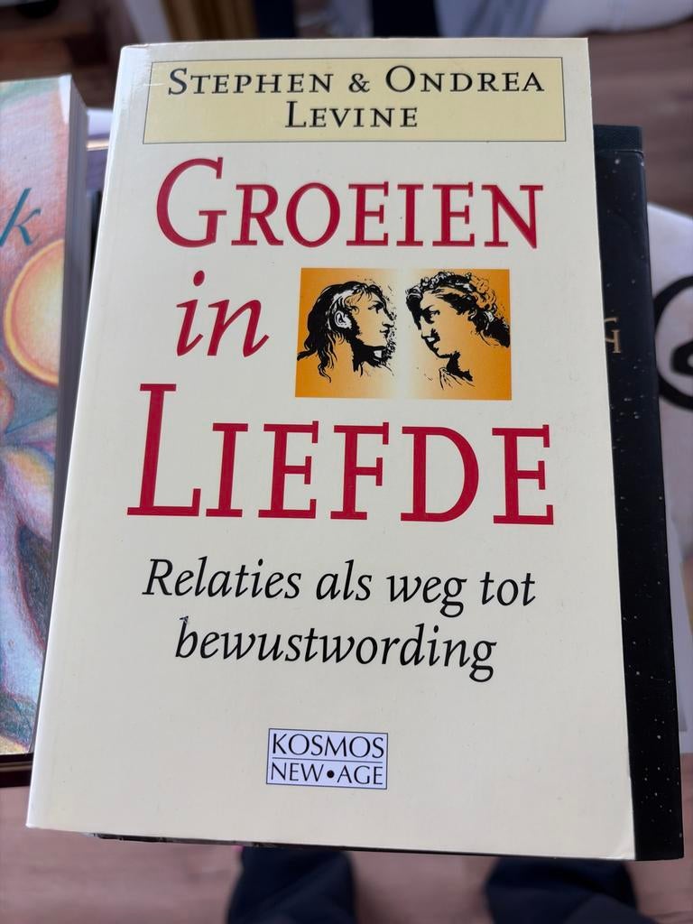 Groeien in Liefde - Stephen & Ondrea Levine (Goede Staat), Boeken, Ophalen of Verzenden, Gelezen, Spiritualiteit algemeen, Achtergrond en Informatie