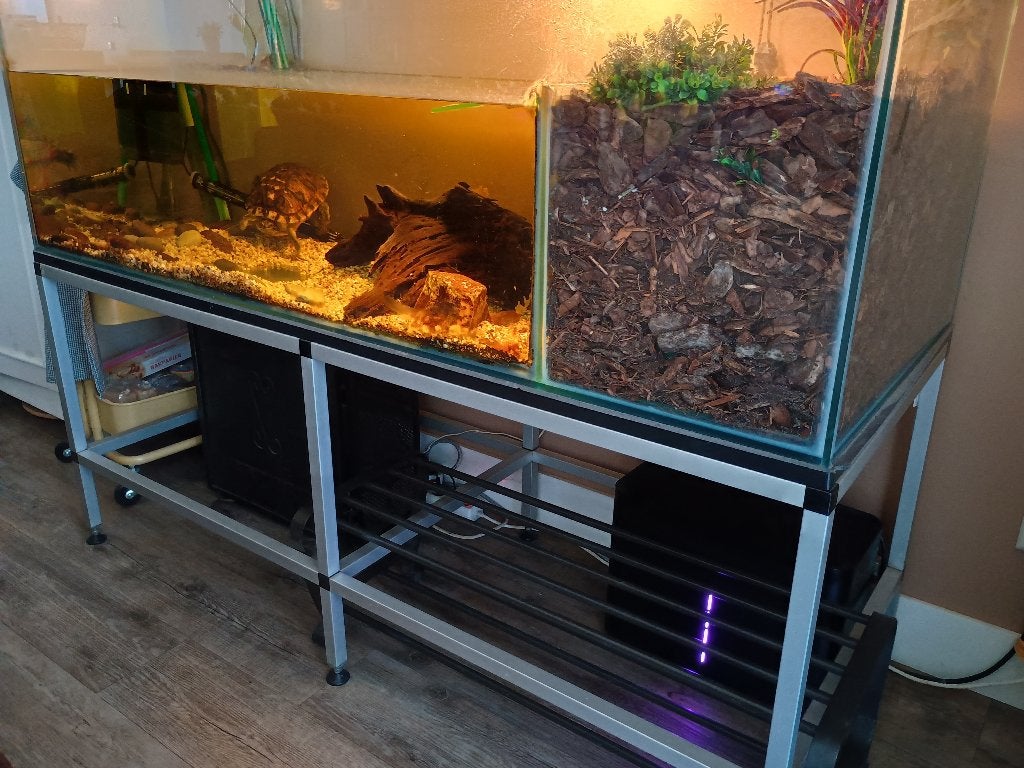 Aquarium / terrarium 150 x 60 cm (leeg), Dieren en Toebehoren, Ophalen, Gebruikt, Terrarium of Paludarium