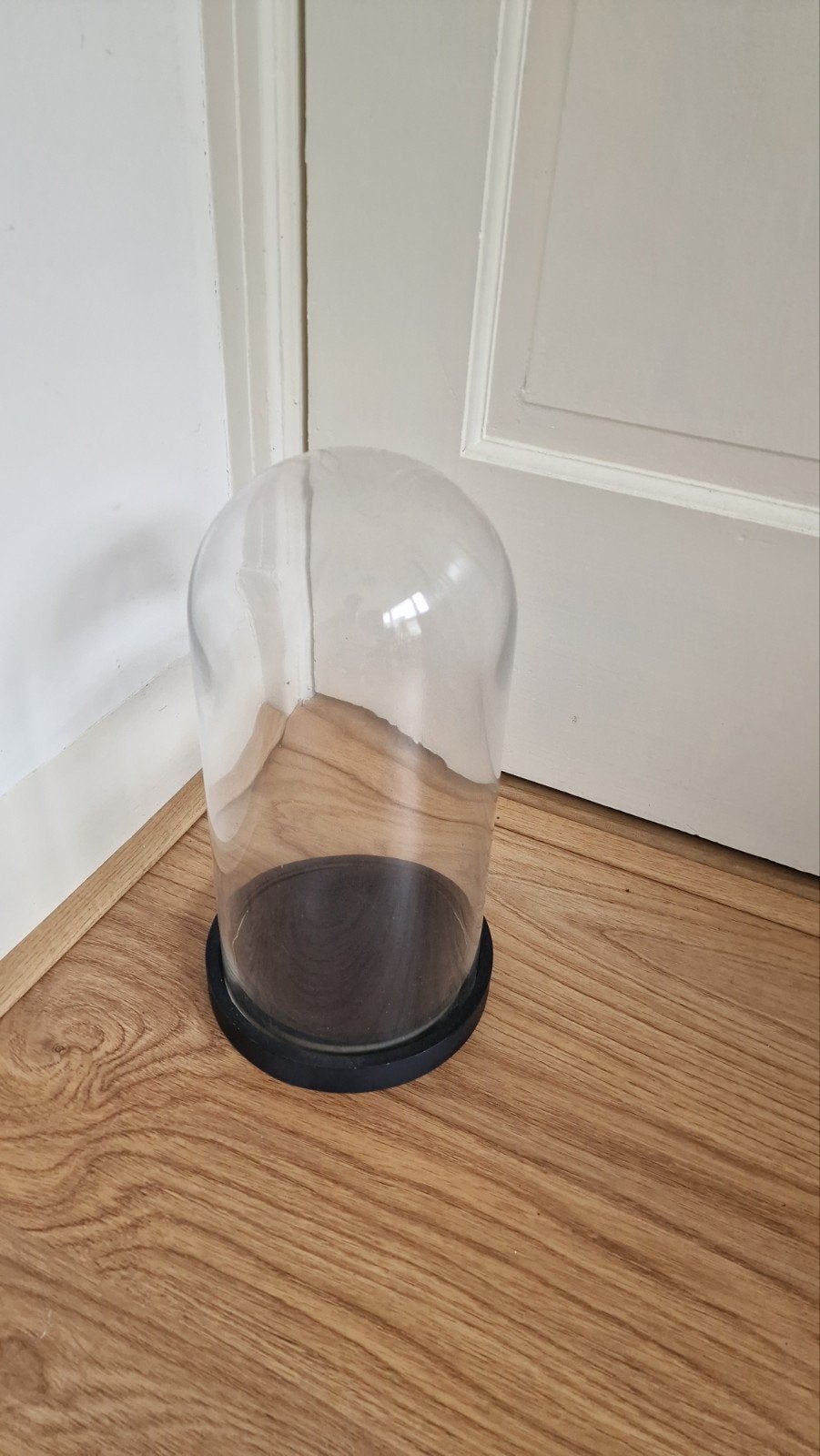 Glazen stolp met zwarte voet - Perfect voor decoratie, Glas, Ophalen, Gebruikt, Met voet