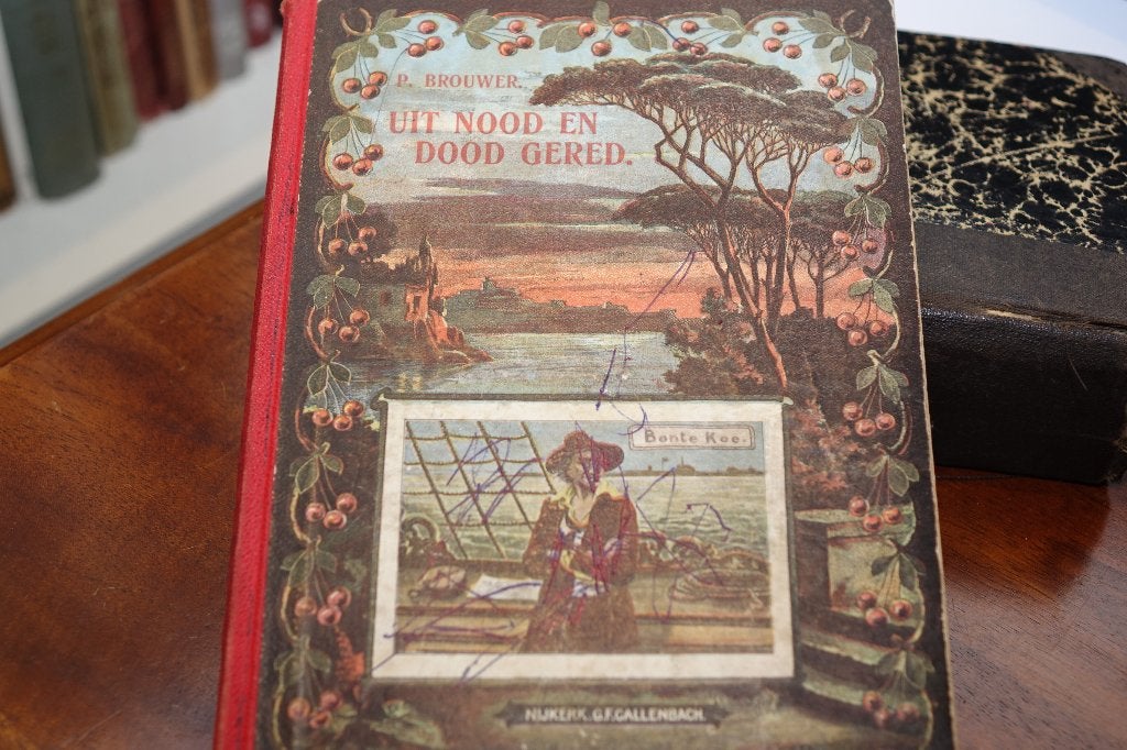 boeken theologie zie al de foto,s en mijn andere advert., Verzenden, Gelezen, Christendom | Protestants