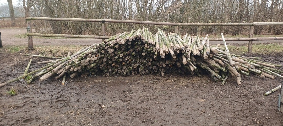 SPOED: Weidepalen
