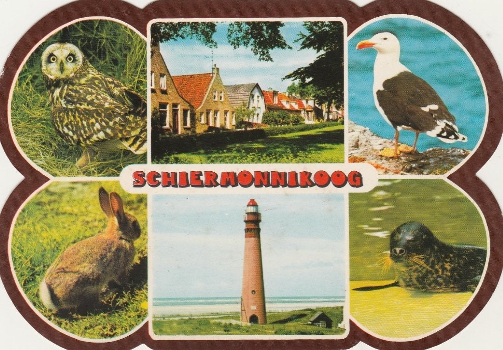 SCHIERMONNIKOOG Uil Vuurtoren Stanskaart, Verzenden, 1960 tot 1980, Gelopen, Waddeneilanden