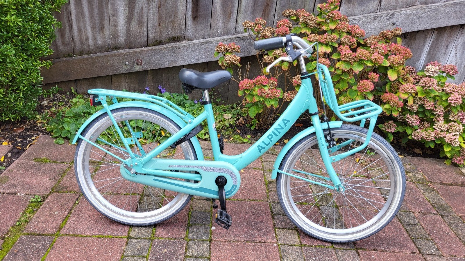 Alpina kinderfiets 22 inch, Fietsen en Brommers, Ophalen, Terugtraprem, Gebruikt, Handrem