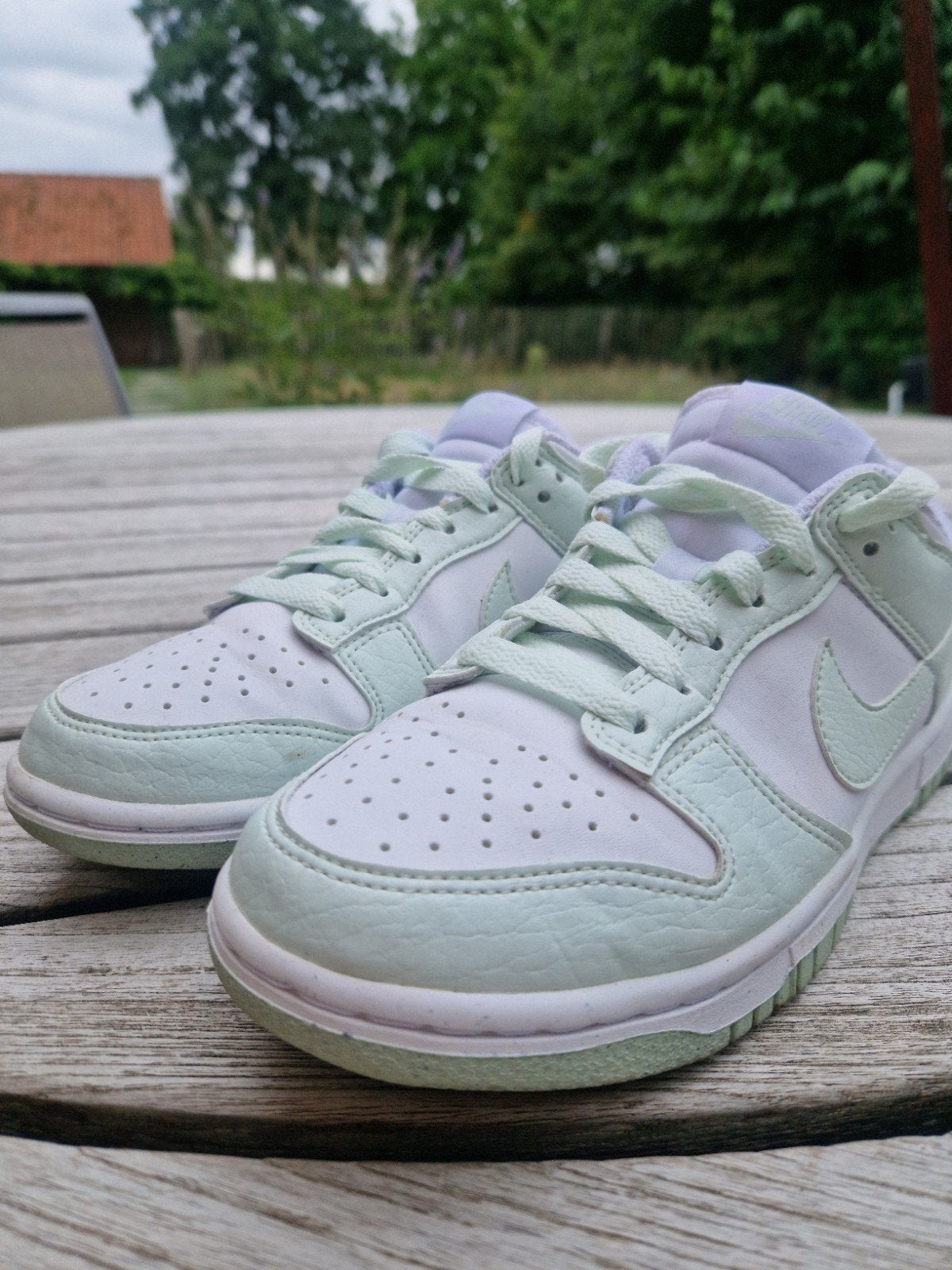 Nike Dunk Low Nature Pale Coral (GS), Nike, Ophalen of Verzenden, Zo goed als nieuw, Groen