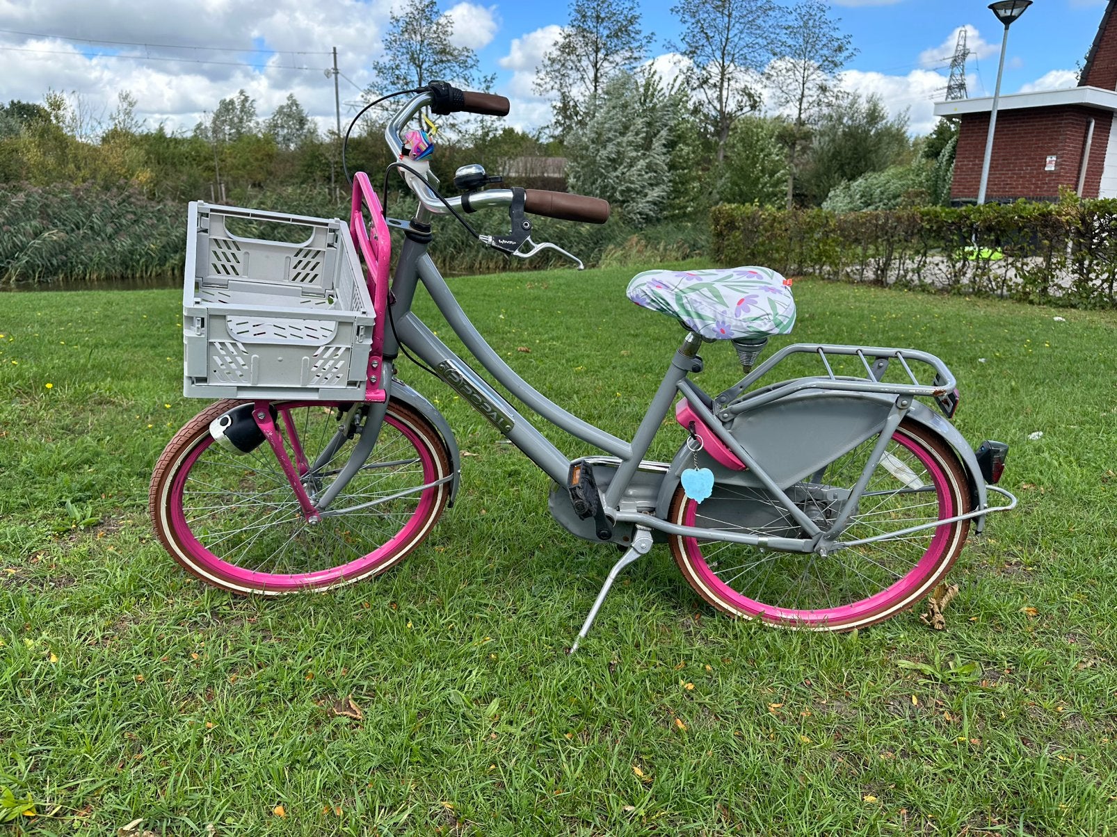 Popal meisjesfiets 22 inch grijs/roze, Ophalen, Zo goed als nieuw, 22 inch, Handrem