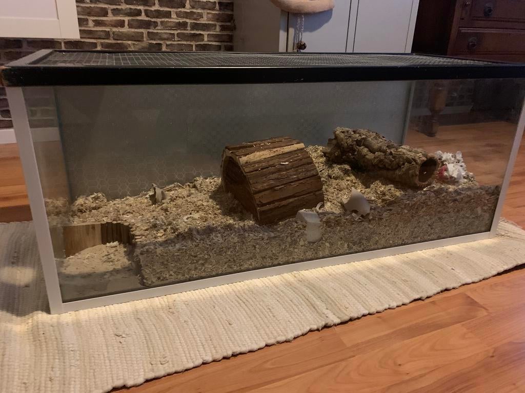 Hamsterkooi glas, Kooi, Gebruikt, Hamster, 75 tot 110 cm