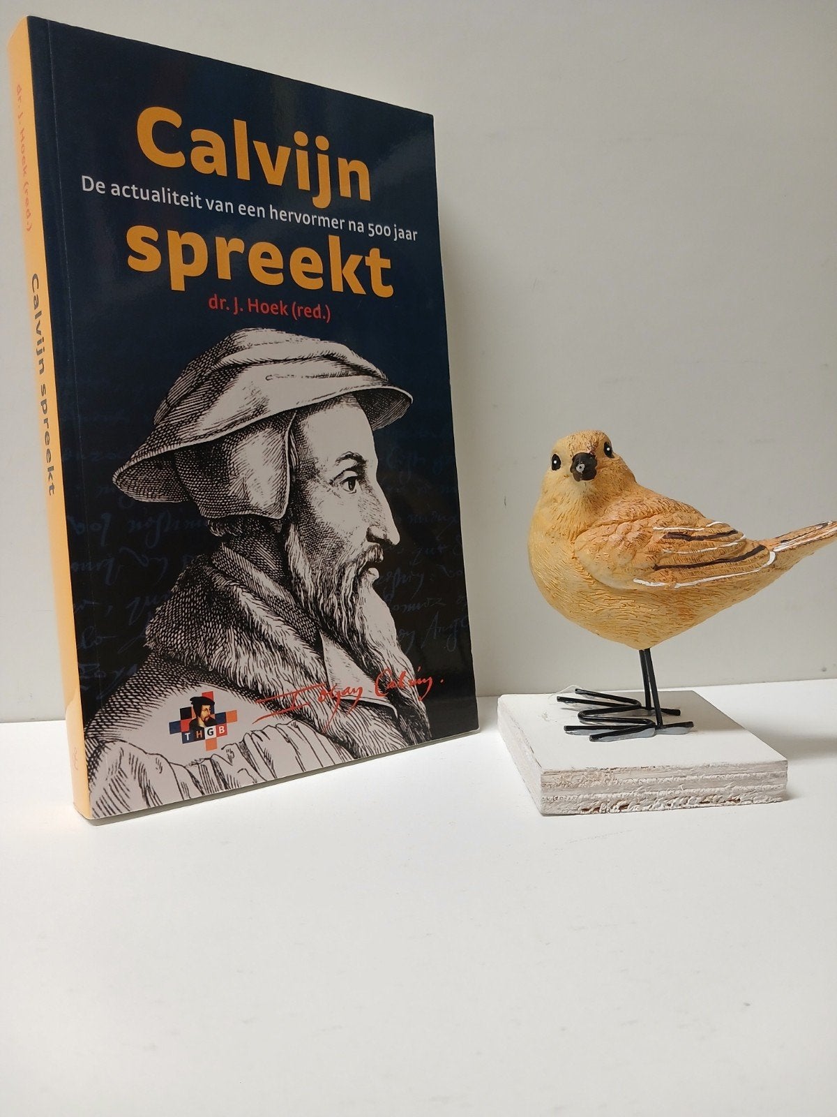 Hoek, Dr. J. e.a.; Calvijn spreekt, Boeken, Ophalen of Verzenden, Gelezen, Christendom | Protestants