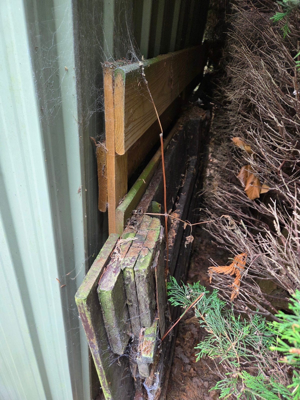 GRATIS tuinhout ophalen, Ophalen, Minder dan 25 mm, Plank, Minder dan 200 cm