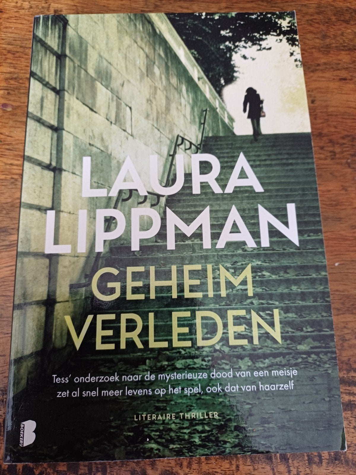 Laura Lippman - Geheim Verleden (Literaire Thriller), Ophalen of Verzenden, Zo goed als nieuw, Laura Lippman, Amerika