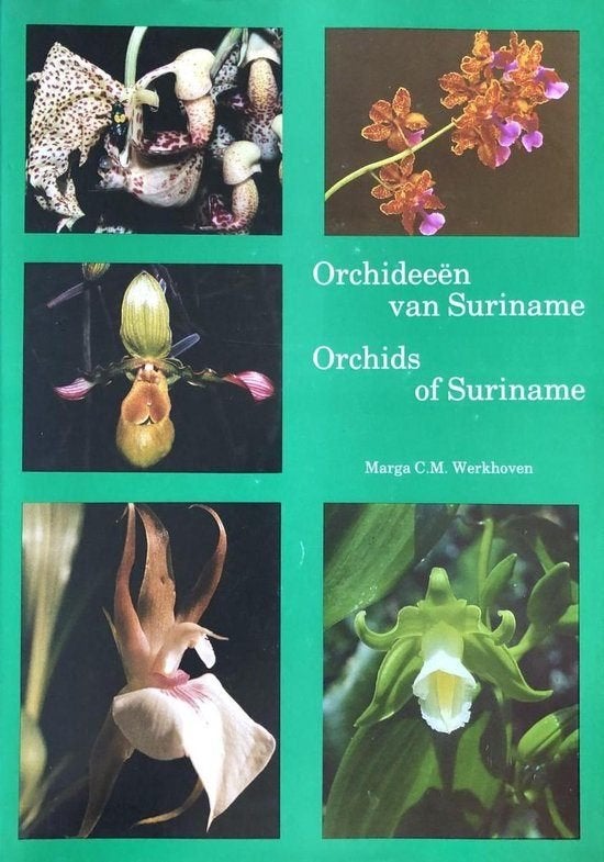 Boek: Orchideeën van Suriname – Orchids of Suriname NIEUW, Marga C.M. Werkhoven, Nieuw, Ophalen of Verzenden, Natuurwetenschap