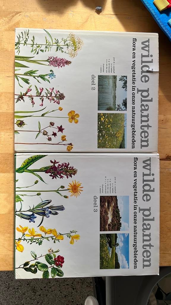 Wilde planten flora en vegetatie in onze natuurgebieden, Boeken, Natuur, Ophalen of Verzenden, Gelezen, Bloemen, Planten en Bomen