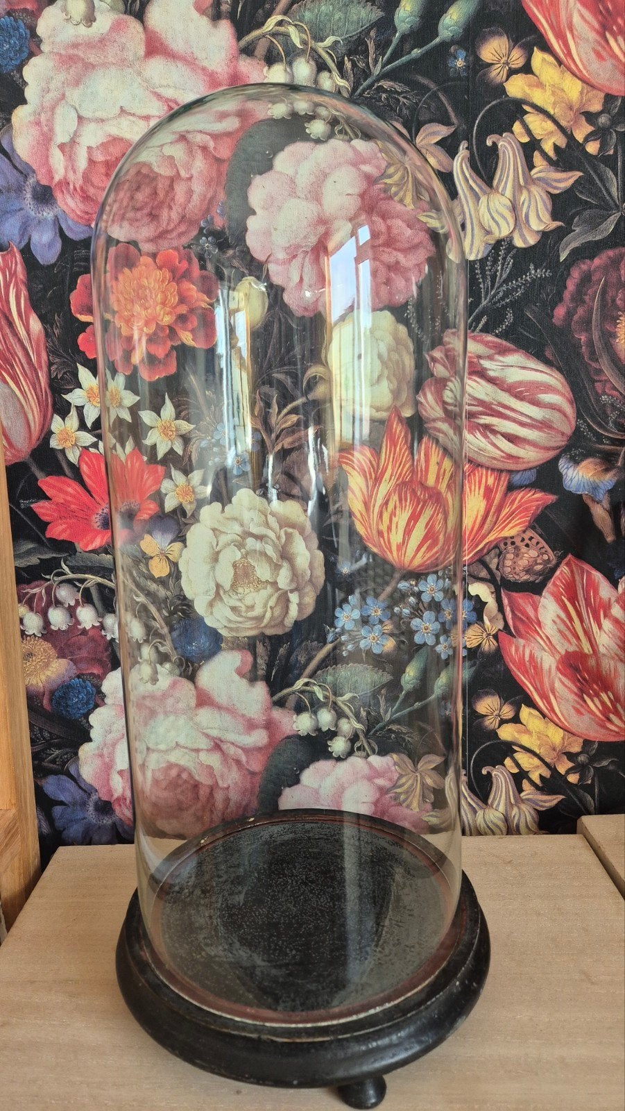 Grote Antieke glazen ronde  stolp met houten voet - 53 cm ho, Ophalen of Verzenden