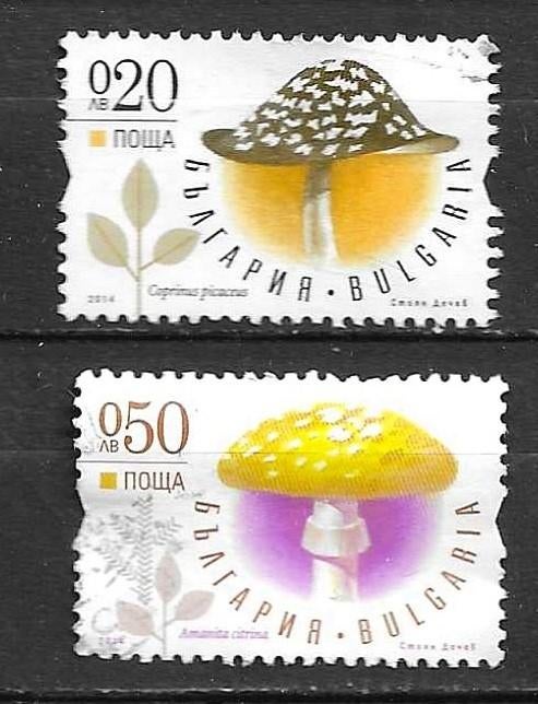 BULGARIJE 2014, Ophalen of Verzenden, Bulgarije, Gestempeld
