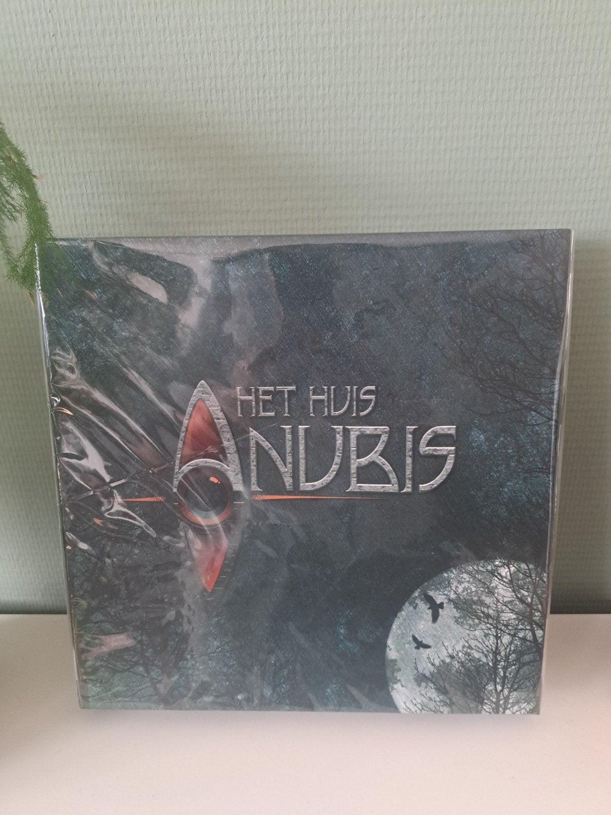 Bordspel Het huis Anubis, Ophalen of Verzenden