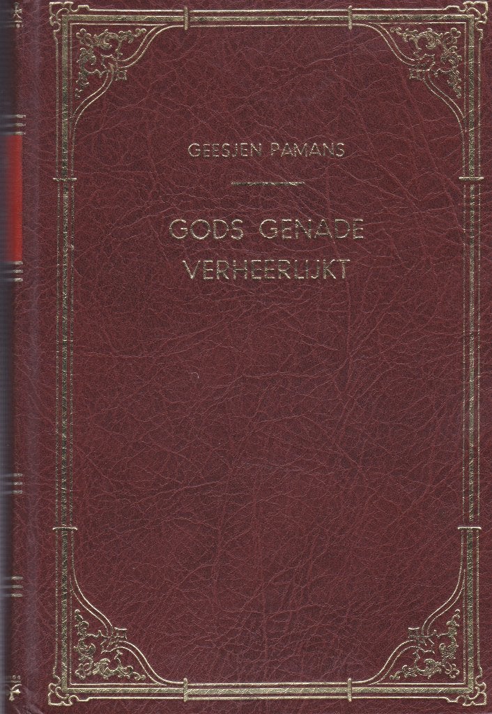 GEESJEN PAMANS - GODS GENADE VERHEERLIJKT, Boeken, Ophalen of Verzenden, Gelezen
