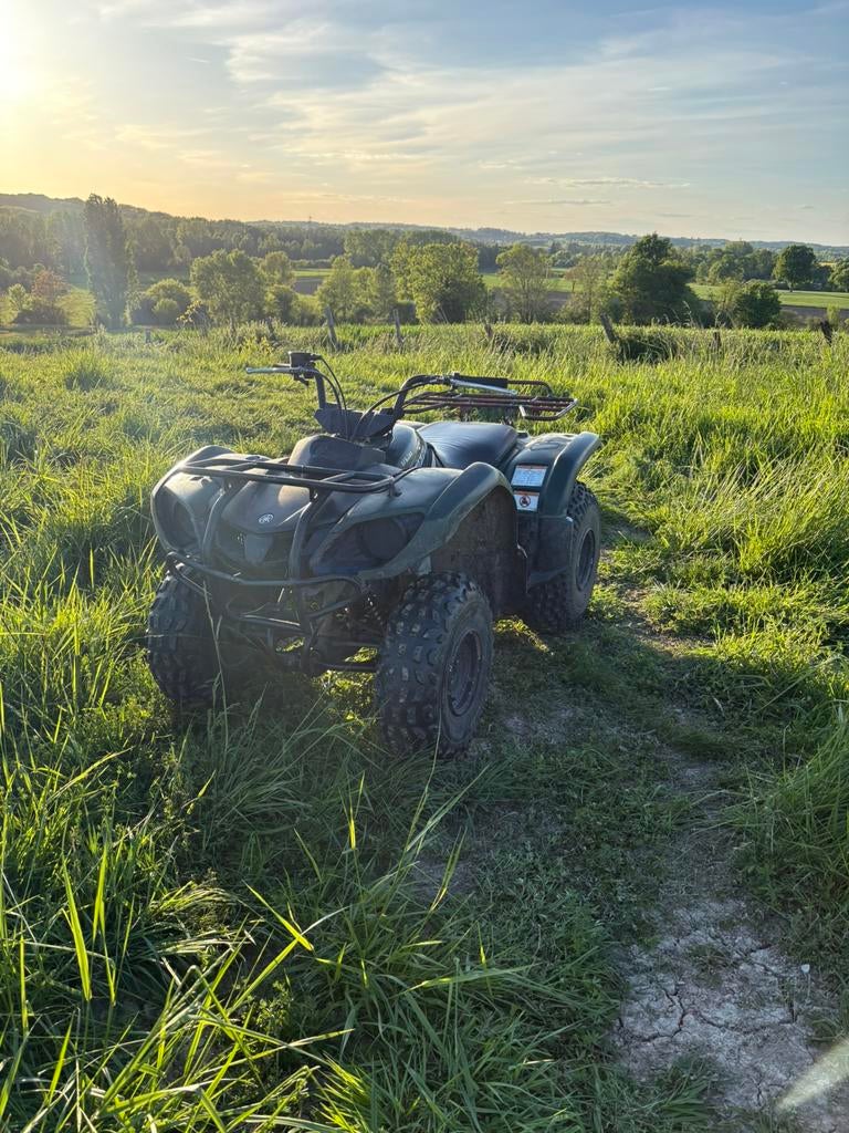 Yahama grizzly, Motoren, Onderdelen | Yamaha, Ophalen, Gebruikt