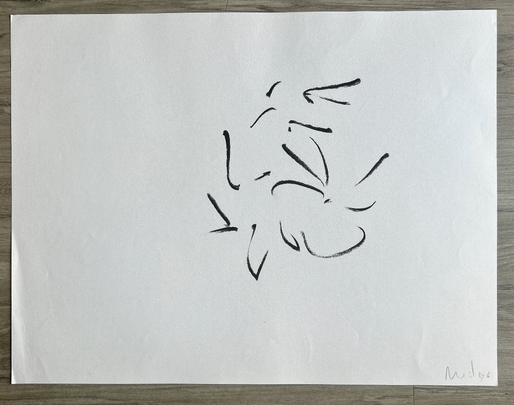 Tekening houtskool  Wil Blommerde  ZOMEROPRUIMING, Antiek en Kunst, Kunst | Litho's en Zeefdrukken, Gesigneerd, Verzenden, Overige techniek