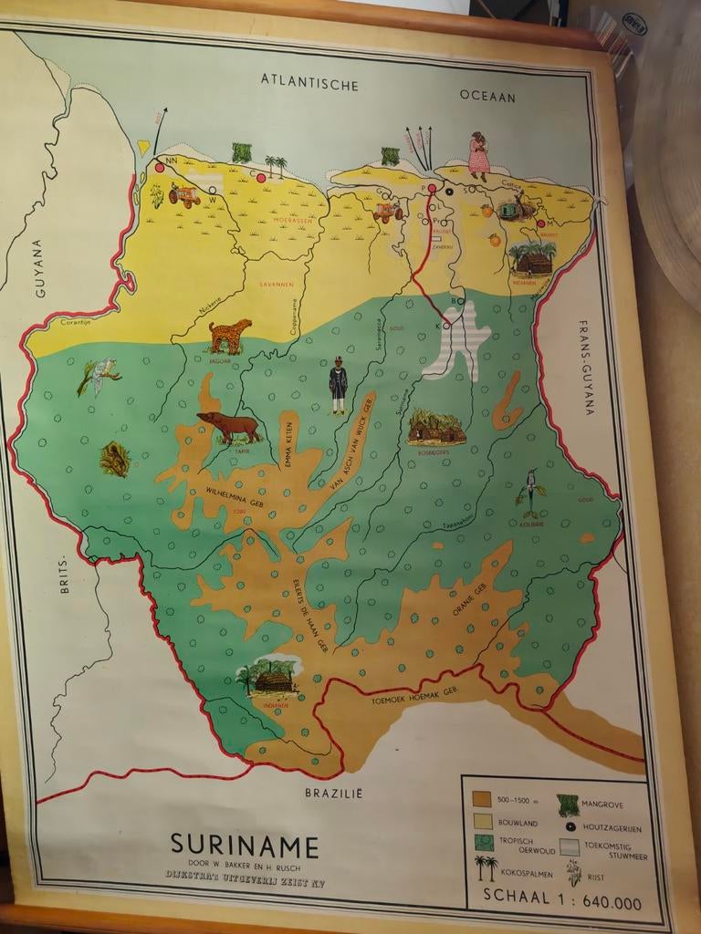 Schoolplaat suriname, Ophalen, Natuur en Biologie