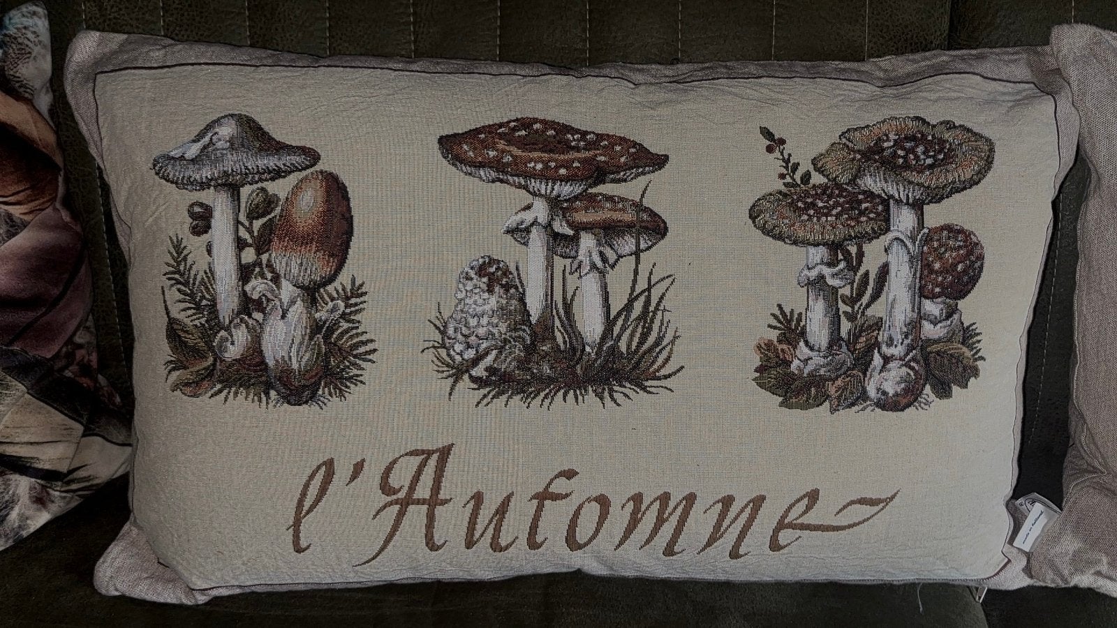 Set van 2 prachtige decoratieve kussens, Ophalen, Zo goed als nieuw