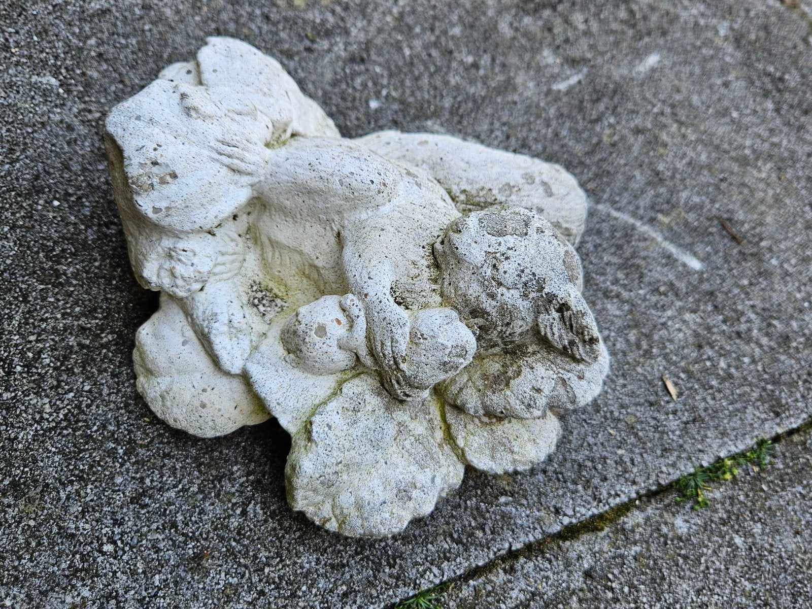 Betonnen eekhoorn beeld om op te hangen - 17 cm, Ophalen
