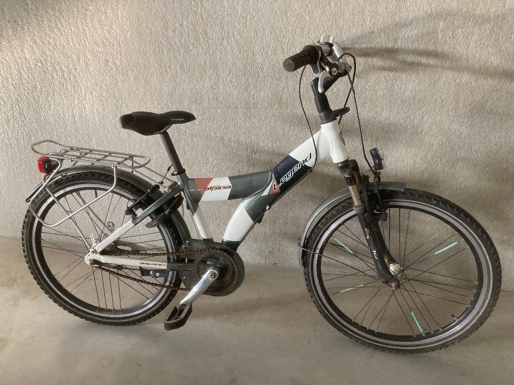Alpina Legend fiets, Ophalen, Gebruikt, Versnellingen, Schijfrem