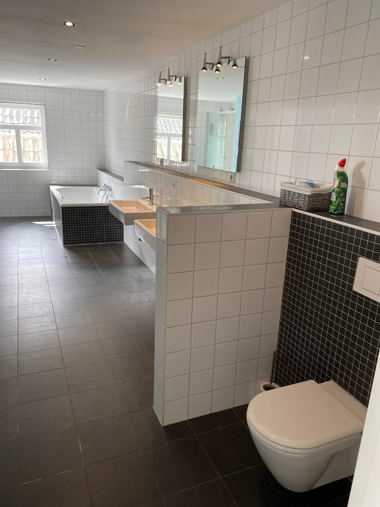 Groot ligbad, douchewand/deur, dubbele wastafel en toilet, Ophalen, Gebruikt, Met bad
