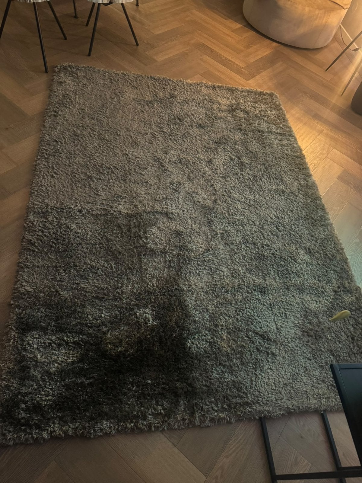 Hoogpollig tapijt, Ophalen, Gebruikt, 200 cm of meer, 150 tot 200 cm