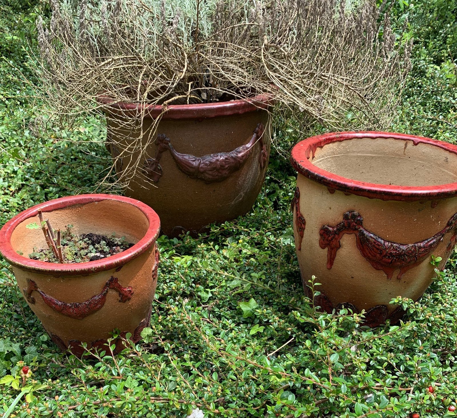 Set van 3 aardewerken bloempotten met wijnrode rand, Ophalen, Gebruikt, 40 cm of meer, Rond