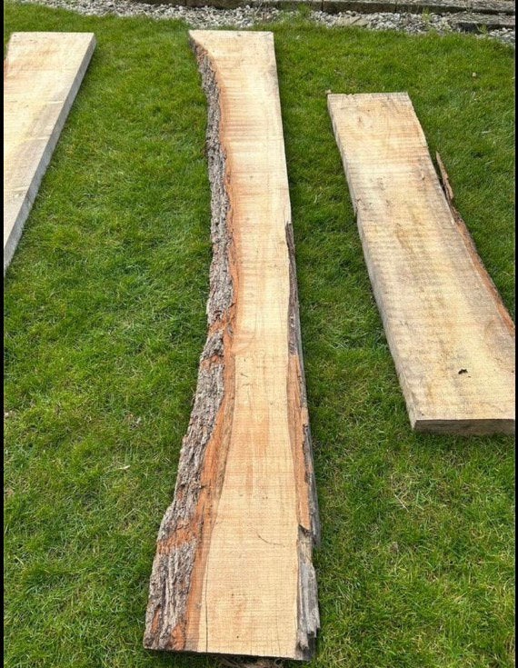 Iep/olm boomstamplanken, Ophalen, Nieuw, Plank, Overige houtsoorten
