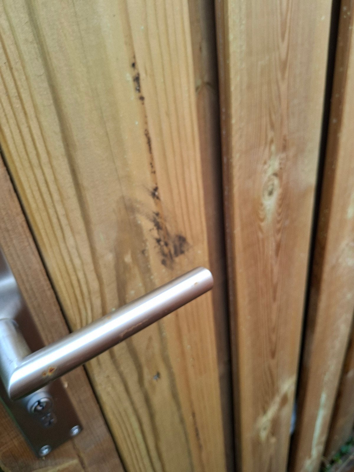 Nieuwe schuttingdeur - elke maat mogelijk, Tuin en Terras, Ophalen, Nieuw, Hout, 2 meter of meer
