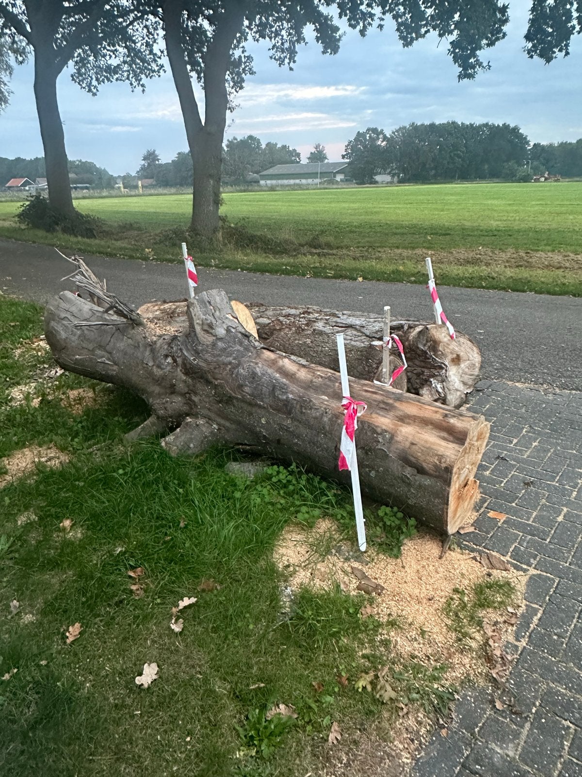 3,5 m3 kastanje, eiken en naaldhout- Ideaal voor brandhout, 3 tot 6 m³, Ophalen, Eikenhout, Stammen