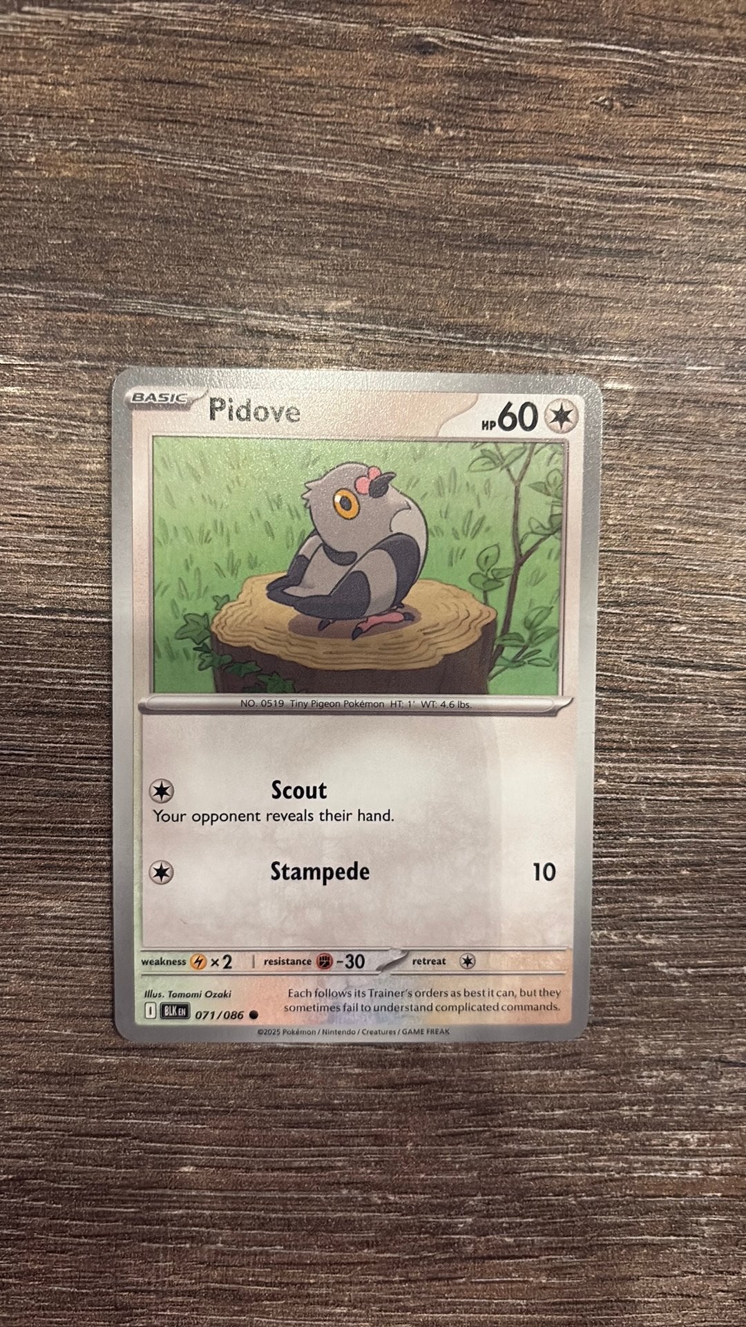 BLK Pidove 071/086, Ophalen of Verzenden, Zo goed als nieuw