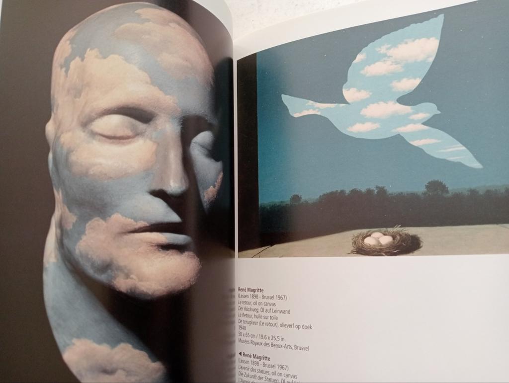 Visual Encyclopedia of Art - Surrealisme, Ophalen of Verzenden, Zo goed als nieuw, Overige onderwerpen, Diverse Auteurs