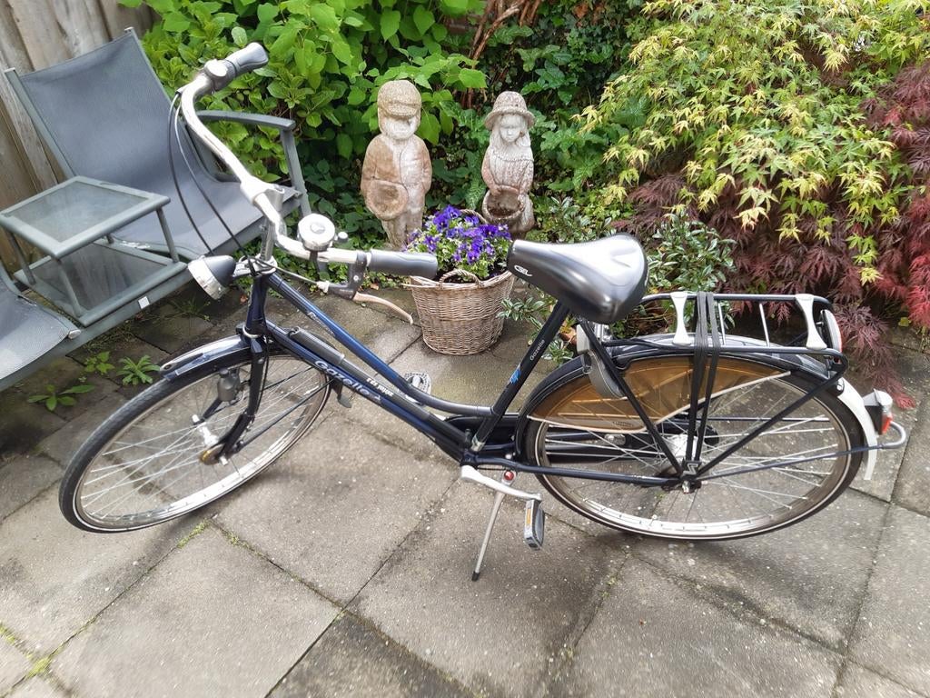 Gazelle  versnellingen  primeurs  Licht trommmelremmen, Minder dan 10 versnellingen, Nieuw, Ophalen of Verzenden, 55 cm of meer