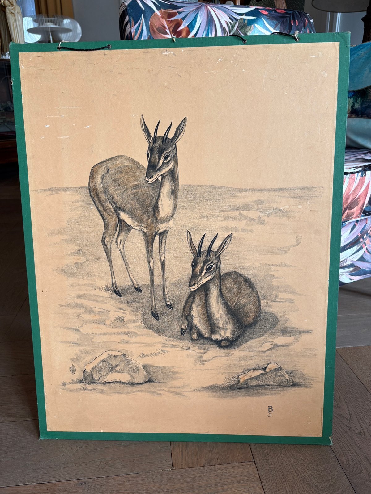 Schoolplaat Gazelle, Antiek en Kunst, Ophalen of Verzenden
