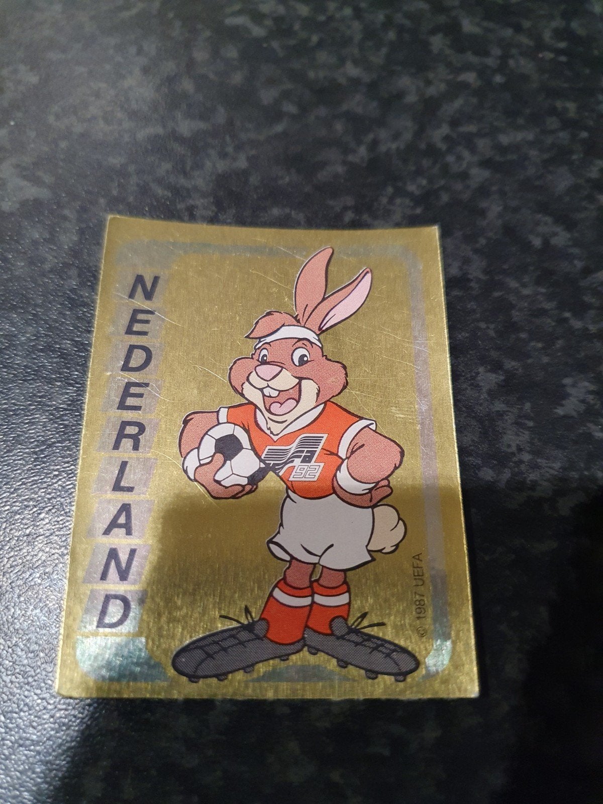Panini Euro 92 - Nmr 116, Ophalen of Verzenden, Zo goed als nieuw, Sticker
