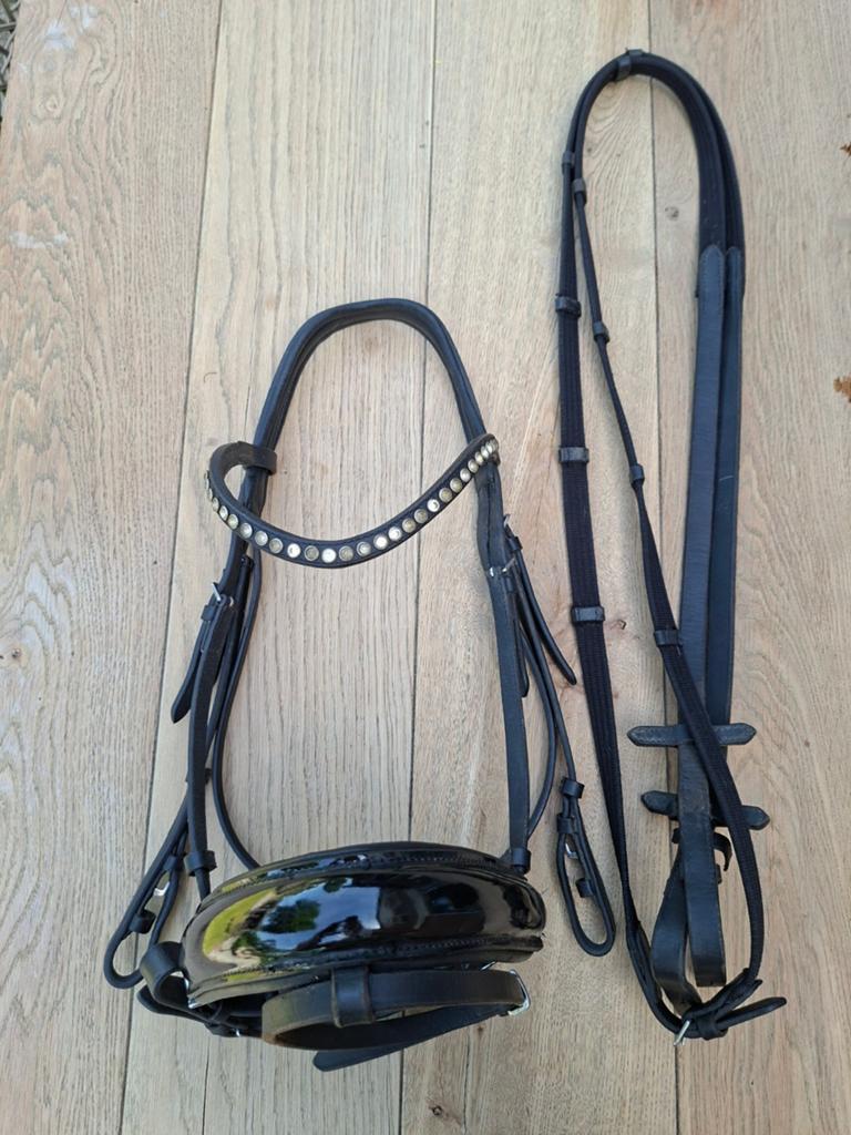Hoofdstel, Dieren en Toebehoren, Paarden en Pony's | Hoofdstellen en Tuigage, Ophalen of Verzenden, Zo goed als nieuw, Dressuur