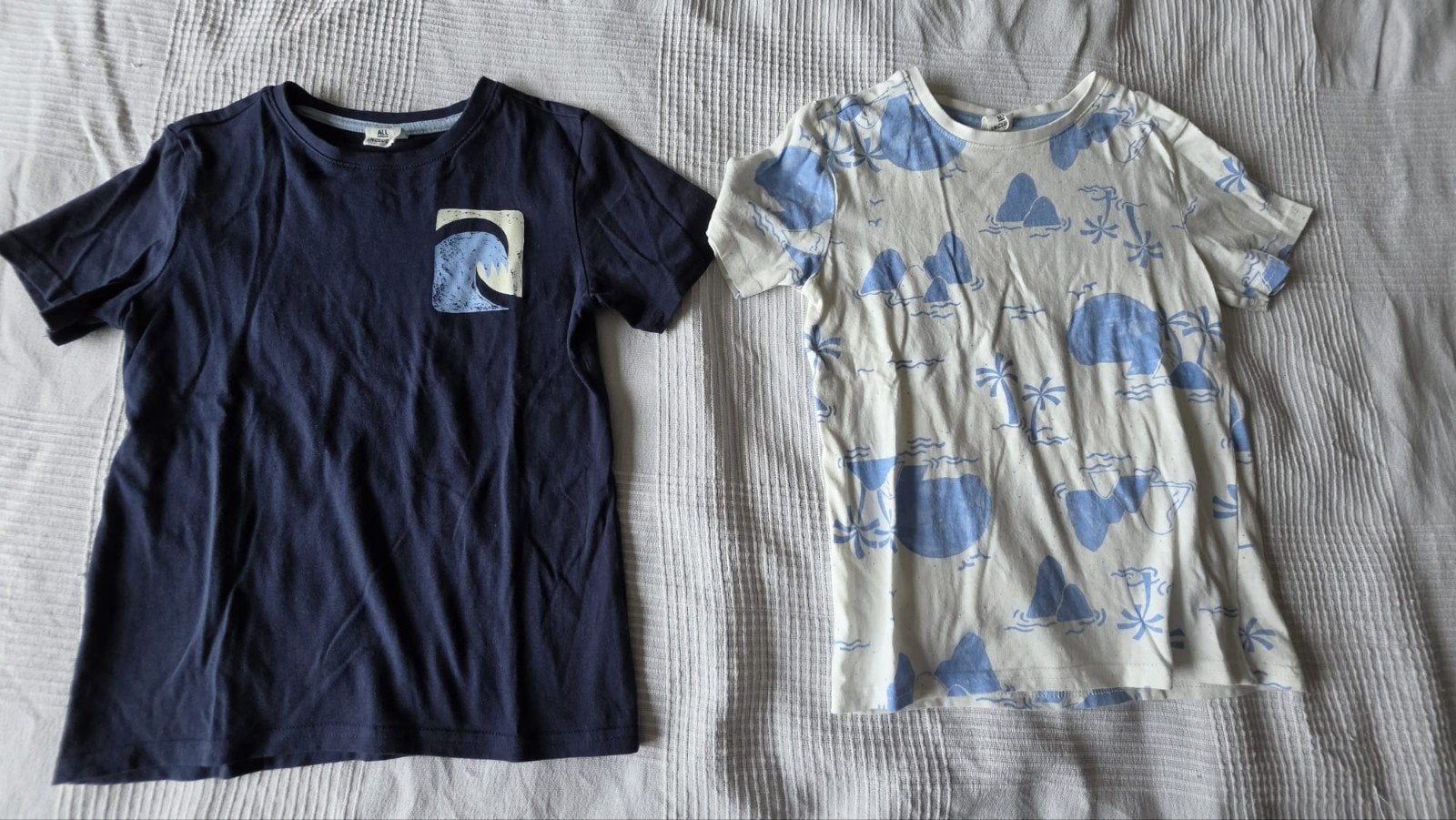 Set van 2 shirts in de maat 122/128, Gebruikt, Ophalen of Verzenden, Shirt of Longsleeve, Hema