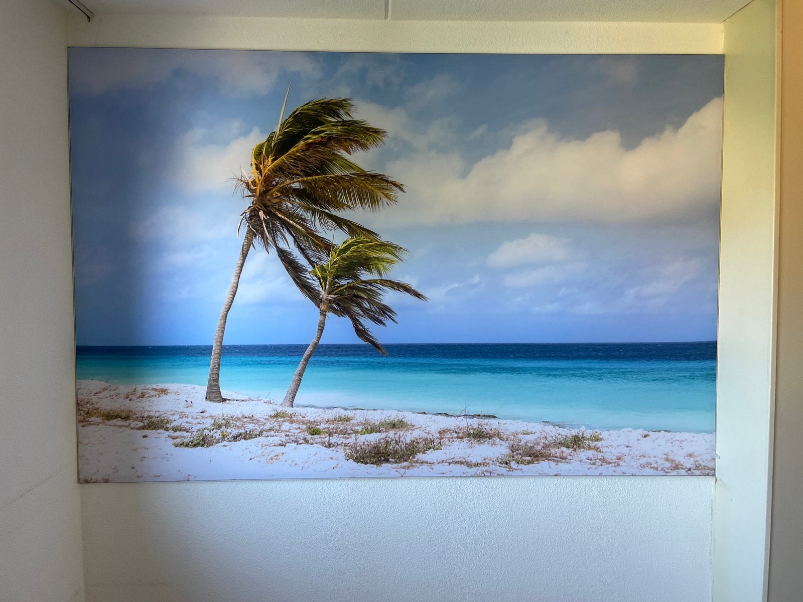 Foto op doek in profiel gespannen, Antiek en Kunst, Ophalen