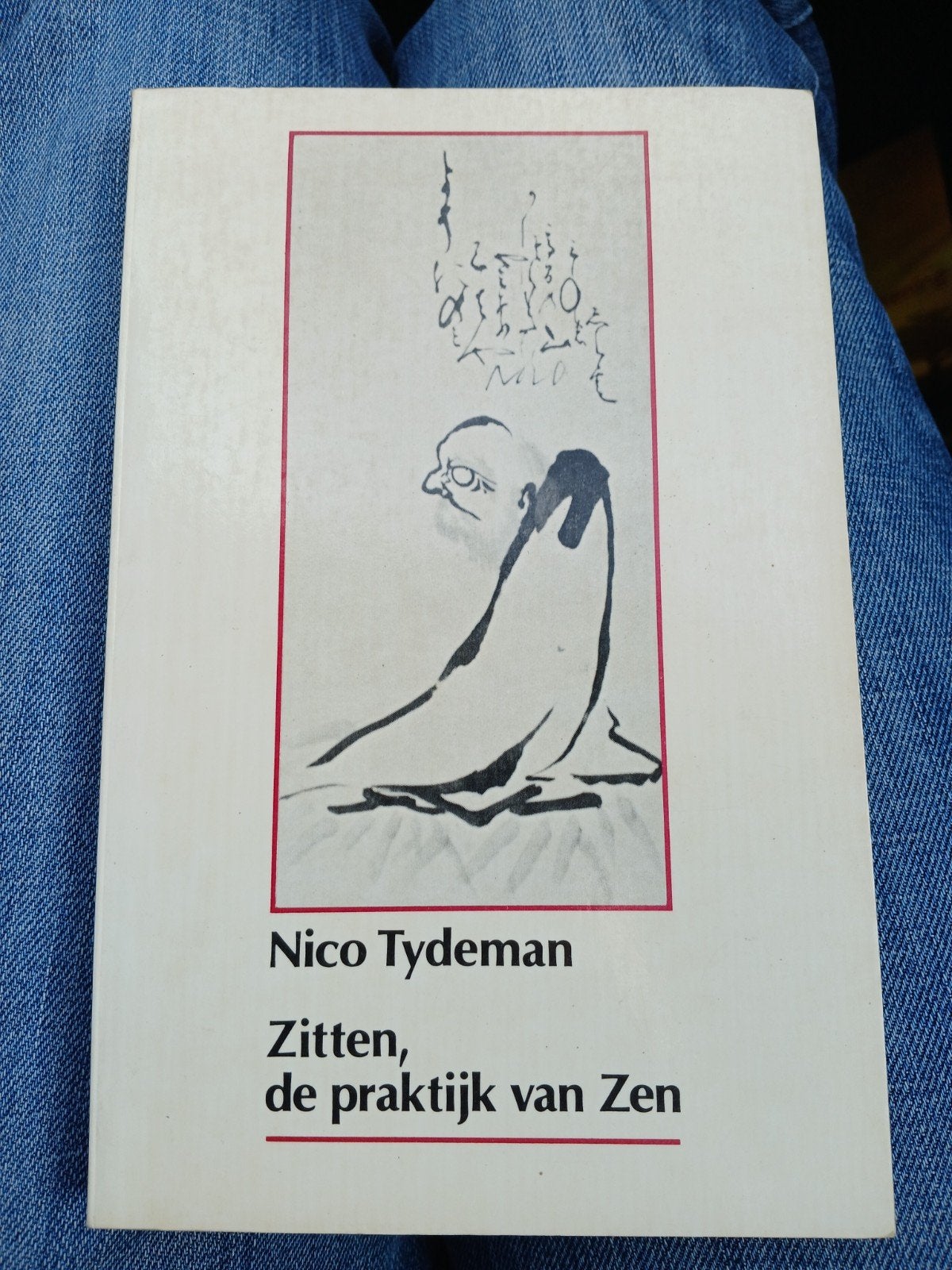 Zitten, de praktijk van Zen - Nico Tydeman zgan vaste prijs, Nico Tydeman, Meditatie of Yoga, Ophalen of Verzenden, Zo goed als nieuw