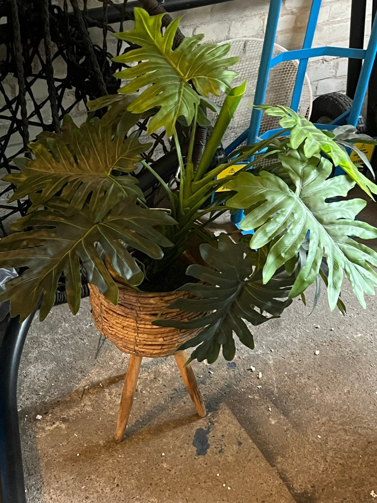Grote kunstplant in rieten pot op houten poten, Ophalen, Binnen, Kunstplant, Kunststof
