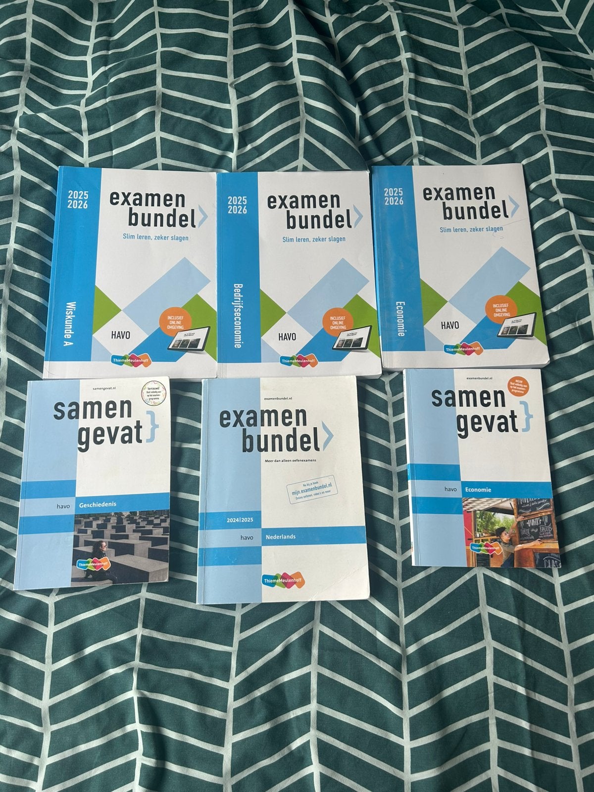 Examenbundels havo, Boeken, Ophalen of Verzenden, Zo goed als nieuw, HAVO