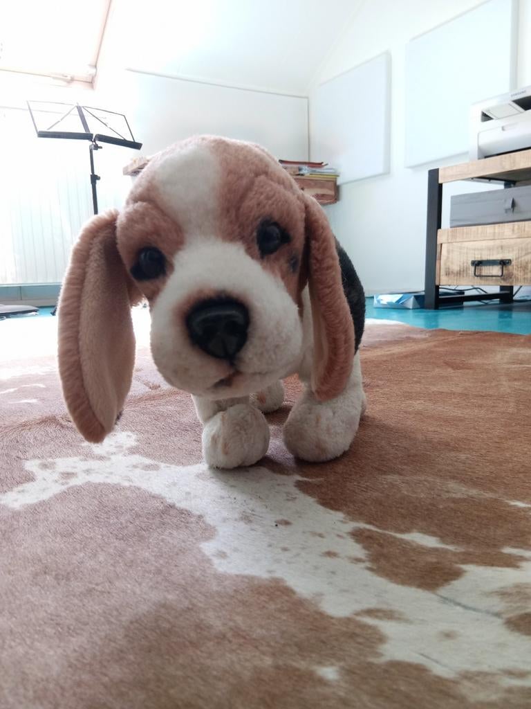 Beagle pluche voor hondentraining, Dieren en Toebehoren, Ophalen of Verzenden, Zo goed als nieuw