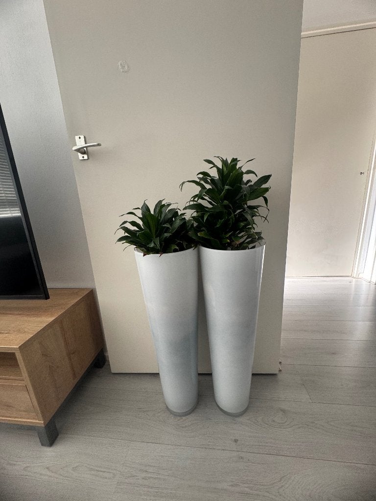Vazen, Huis en Inrichting, Woonaccessoires | Vazen, Ophalen, Gebruikt, Wit, Glas