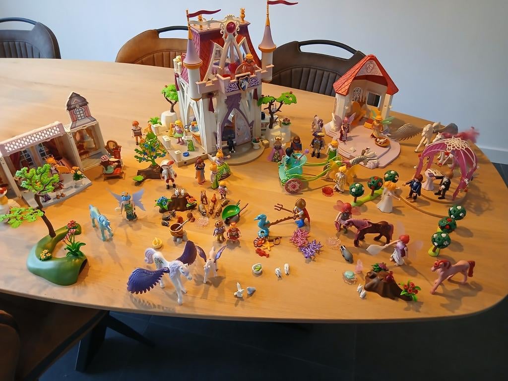 Feeen en princessen playmobil, Ophalen of Verzenden, Gebruikt