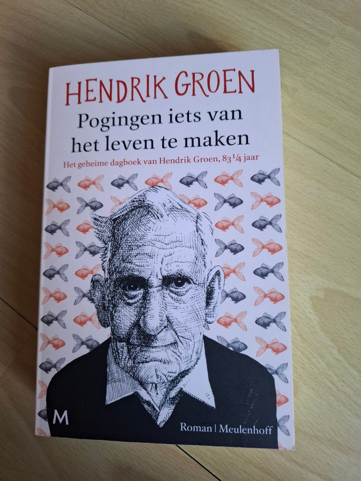 Hendrik Groen pogingen iets van het leven te maken, Ophalen of Verzenden, Zo goed als nieuw