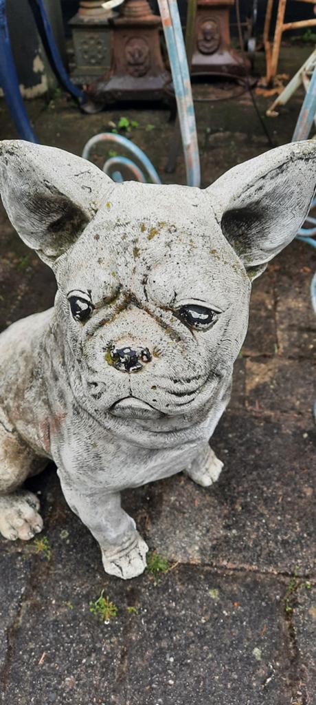 Betonnen Franse Bulldog Tuinbeeld - Gebruikt, Ophalen, Nieuw