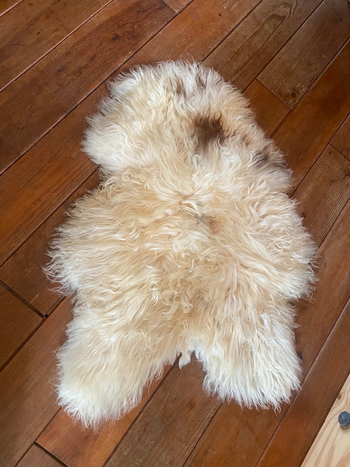 Mooie dikke schapenvacht / schapenkleed, Huis en Inrichting, Gebruikt, 100 tot 150 cm, Crème, Overige vormen