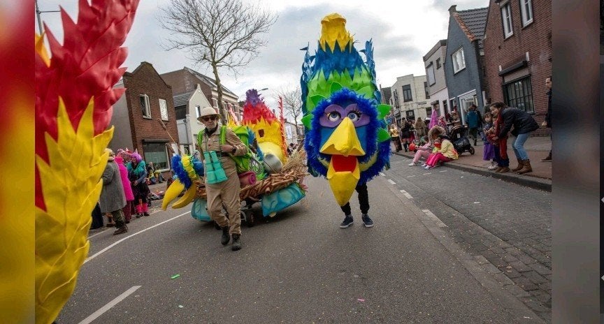 mooie vogel en ranger pakken, Ophalen, Gedragen, Carnaval, Kleding